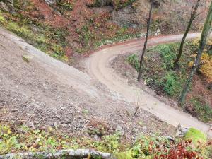 Plazišče v Pologu (Foto Boštjan Uršič) (5)-1800